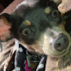 Meet your Posher, Patti